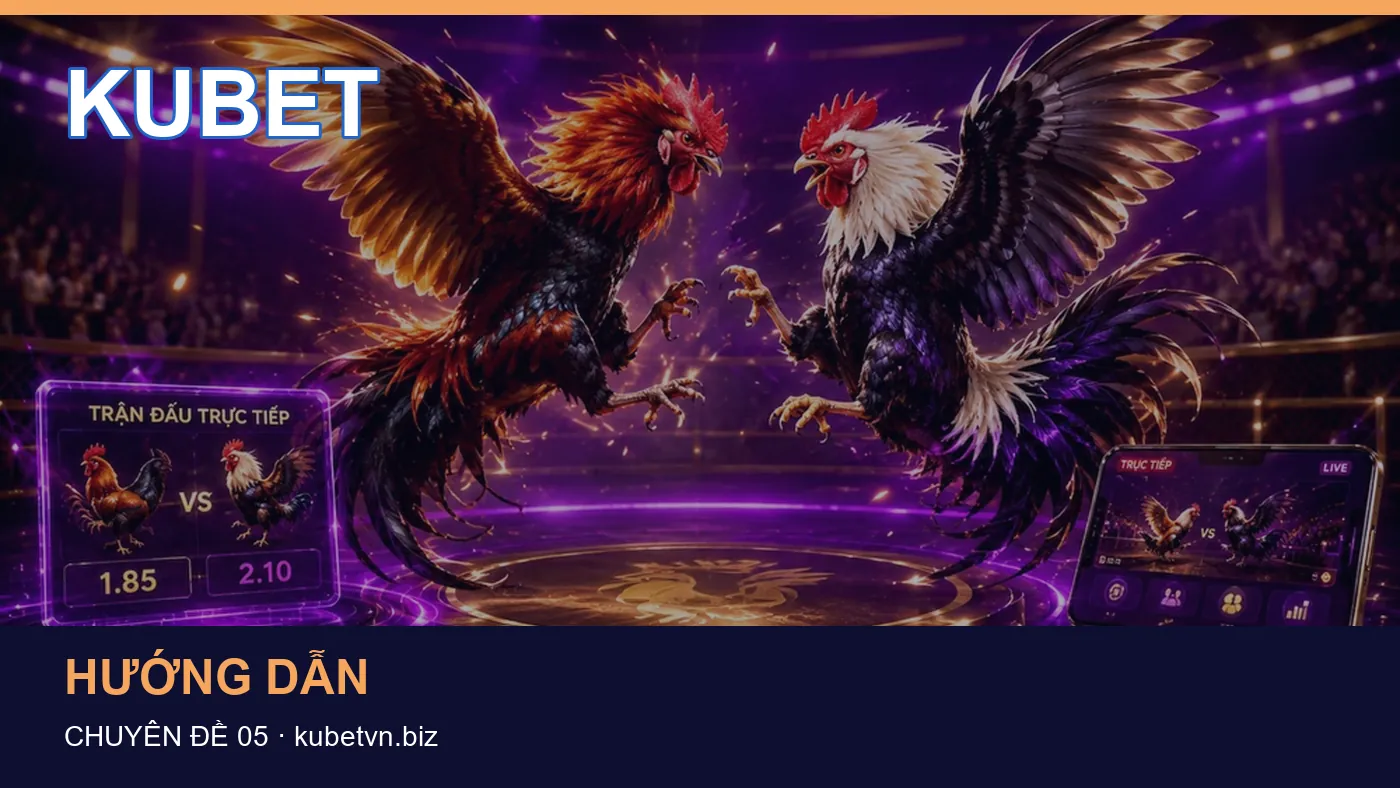 Hình minh họa bài viết KUBET